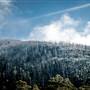 Thredbo Valley