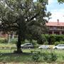 Women's College - Sydney University