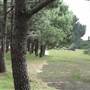 Centennial Park