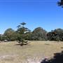 Centennial Park - Loch Ave South