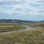 Monaro Plains