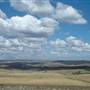 Monaro Plains