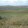 Monaro Plains