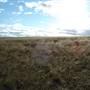 Monaro Plains