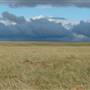 Monaro Plains