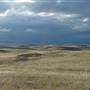Monaro Plains
