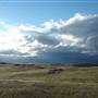 Monaro Plains