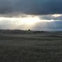 Monaro Plains