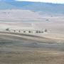 Monaro Plains