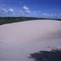 Cronulla Sand Dunes