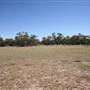 Bindara Station on the Darling - Period Homestead & Outbuildings
