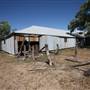 Bindara Station on the Darling - Period Homestead & Outbuildings