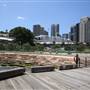 Barangaroo Reserve