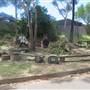 Coledale neighbourhood