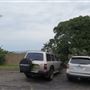 Bilgola Plateau neighbourhood