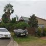 Manly Vale Neighbourhood