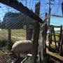 Private Property - Cardross Goulburn