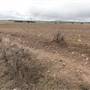 Private Property - Cardross Goulburn