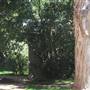 Private Property - Cardross Goulburn