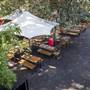 Bodhi Restaurant + Bar