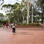 Building 1. University of Western Sydney