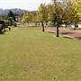 HARRINGTON PARK HOUSES
