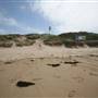 Cronulla Beach North End (Greenhills)