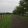 Hobartville