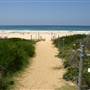 South Maroubra Beach