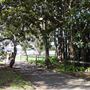 Royal Botanic Garden Sydney
