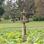 Royal Botanic Garden Sydney