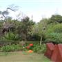Royal Botanic Garden Sydney