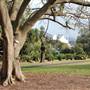 Royal Botanic Garden Sydney