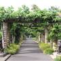 Royal Botanic Garden Sydney