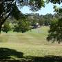 St Ignatius College, Riverview - Grounds/Sportsfields