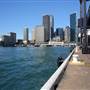 Overseas Passenger Terminal Port Authority NSW