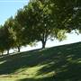 St Ignatius College, Riverview - Grounds/Sportsfields