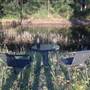 Prize Farm - Private Property Minimbah