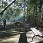 Minnamurra Rainforest Walk - Budderoo National Park