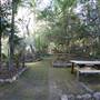 Minnamurra Rainforest Walk - Budderoo National Park