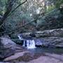 Minnamurra Rainforest Walk - Budderoo National Park