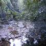 Minnamurra Rainforest Walk - Budderoo National Park