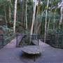 Minnamurra Rainforest Walk - Budderoo National Park