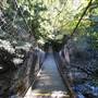 Minnamurra Rainforest Walk - Budderoo National Park