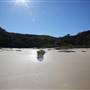 Munmorah State Conservation Area - Snapper Pt and Bongon Beach