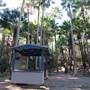 Munmorah State Conservation Area - Palms Picnic Area
