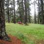 Jenolan State Forest