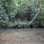 Red Cedar Flat picnic area