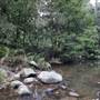 Red Cedar Flat picnic area