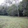 Red Cedar Flat picnic area